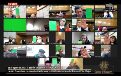 La Cámara de Senadores aprobó créditos por más de USD 615 millones