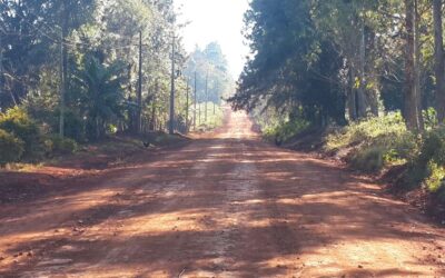MOPC convoca a constructoras para la intervención de más 700 kilómetros de caminos en Guairá
