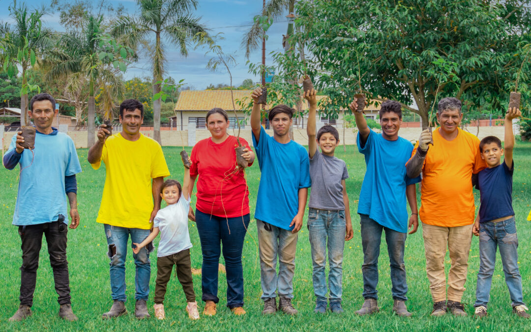 Más de 400.000 plantines conforman espacios verdes en la duplicación de la ruta PY02