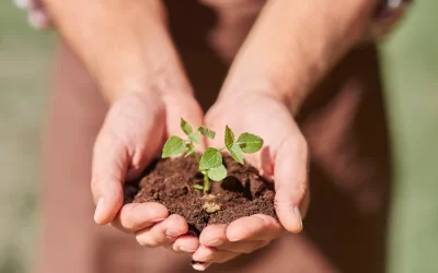 La gestión ambiental en proyectos viales y de infraestructuras ya cuenta con una guía