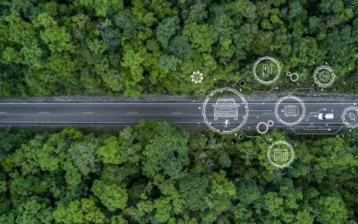 Conocé los componentes de sostenibilidad en carreteras