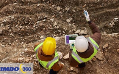 Timbo ofrece servicios 360 para gestión inteligente de flotas