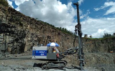 Descubrí Wolf, una marca representada por Target