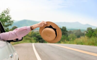 La seguridad en la ruta es primordial: consejos para un viaje seguro