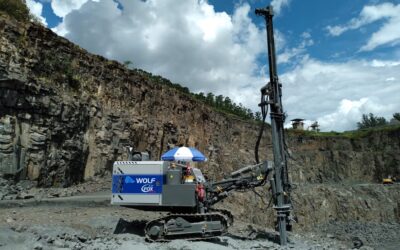 Conocé más acerca de Wolf, una marca representada por Target