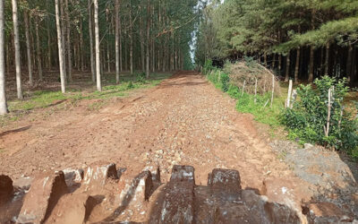 Itapúa fortalece su infraestructura vial para el Rally Mundial